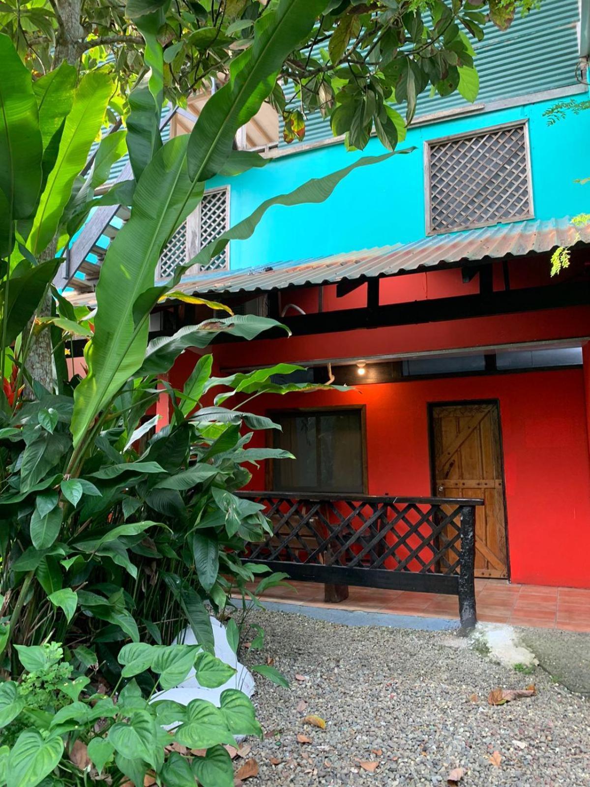 Playa Negra Brewing Beachfront Hotel Puerto Viejo de Talamanca Exterior foto
